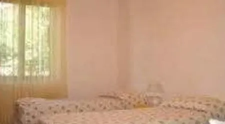 B&B Shalom